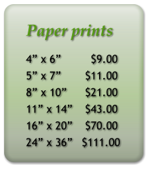 Paper prints 4 x 6         $9.00 5 x 7	  $11.00 8 x 10	  $21.00 11 x 14	  $43.00 16 x 20	  $70.00 24 x 36	 $111.00