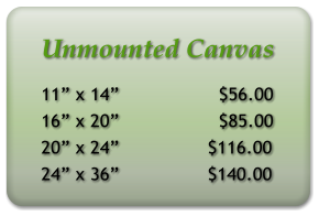 Unmounted Canvas 11 x 14                  $56.00 16 x 20                  $85.00 20 x 24                $116.00 24 x 36                $140.00