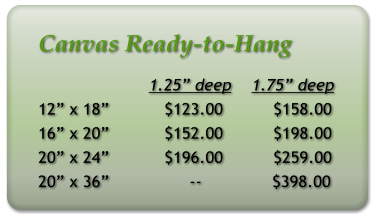 Canvas Ready-to-Hang                       1.25 deep    1.75 deep 12 x 18           $123.00          $158.00 16 x 20           $152.00          $198.00 20 x 24           $196.00          $259.00 20 x 36                --              $398.00