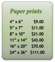 Paper prints 4 x 6         $9.00 5 x 7	  $11.00 8 x 10	  $21.00 11 x 14	  $43.00 16 x 20	  $70.00 24 x 36	 $111.00