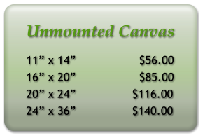 Unmounted Canvas 11 x 14                  $56.00 16 x 20                  $85.00 20 x 24                $116.00 24 x 36                $140.00